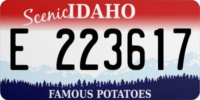 ID license plate E223617