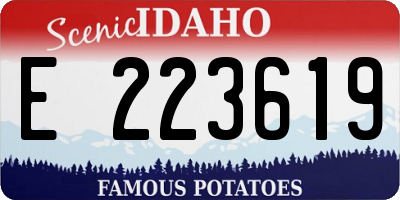ID license plate E223619