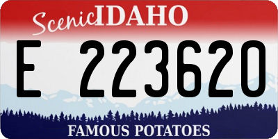 ID license plate E223620