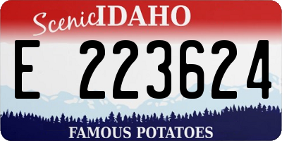 ID license plate E223624
