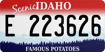 ID license plate E223626