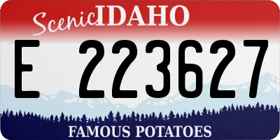 ID license plate E223627