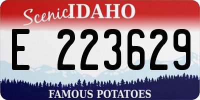 ID license plate E223629