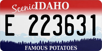 ID license plate E223631