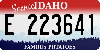 ID license plate E223641
