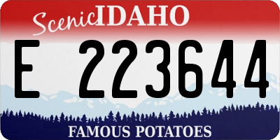 ID license plate E223644