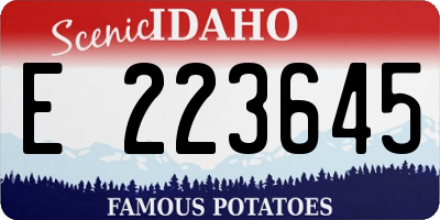 ID license plate E223645