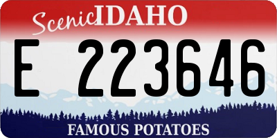 ID license plate E223646