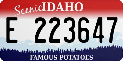 ID license plate E223647