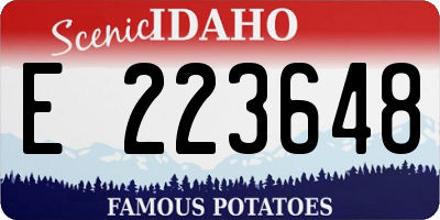 ID license plate E223648