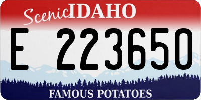 ID license plate E223650