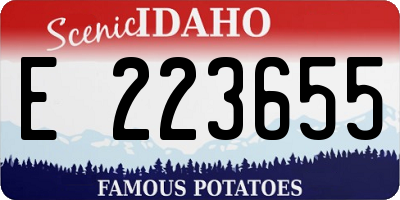 ID license plate E223655