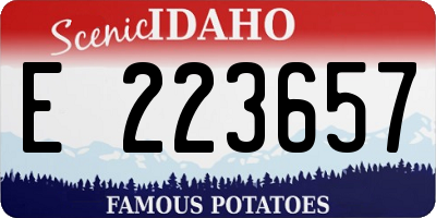 ID license plate E223657