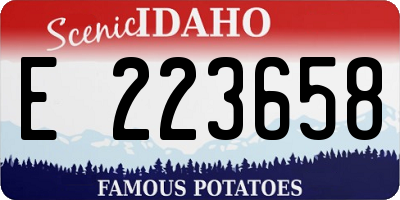 ID license plate E223658