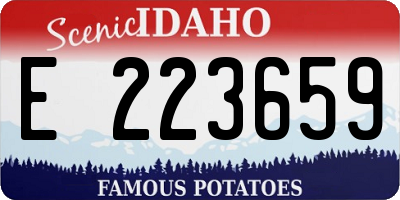 ID license plate E223659