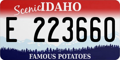 ID license plate E223660