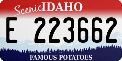 ID license plate E223662