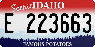 ID license plate E223663
