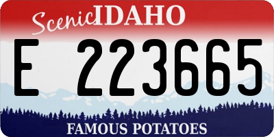 ID license plate E223665