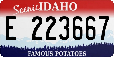 ID license plate E223667