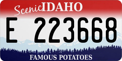 ID license plate E223668