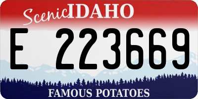 ID license plate E223669