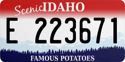 ID license plate E223671