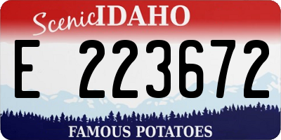 ID license plate E223672