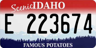 ID license plate E223674