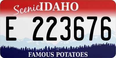 ID license plate E223676