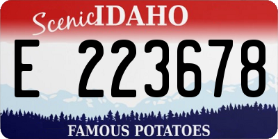 ID license plate E223678