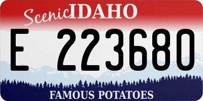 ID license plate E223680