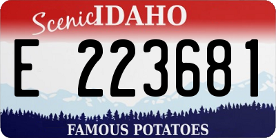 ID license plate E223681