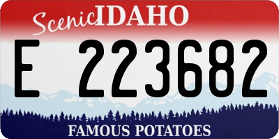 ID license plate E223682