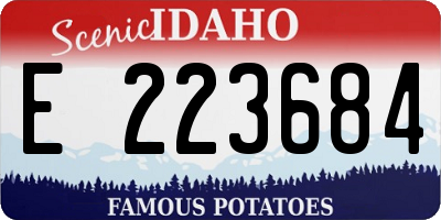 ID license plate E223684