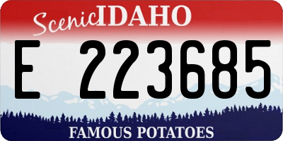 ID license plate E223685