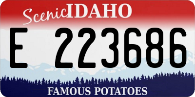 ID license plate E223686