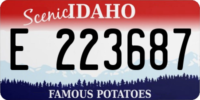 ID license plate E223687