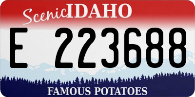 ID license plate E223688
