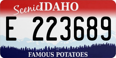 ID license plate E223689