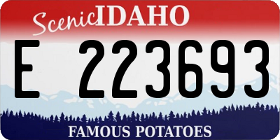 ID license plate E223693