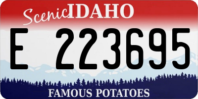 ID license plate E223695
