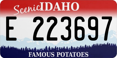ID license plate E223697