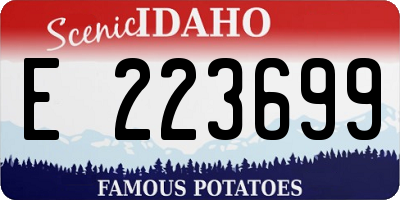 ID license plate E223699