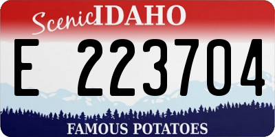 ID license plate E223704