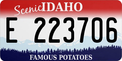 ID license plate E223706