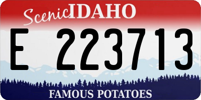 ID license plate E223713
