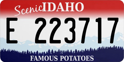 ID license plate E223717