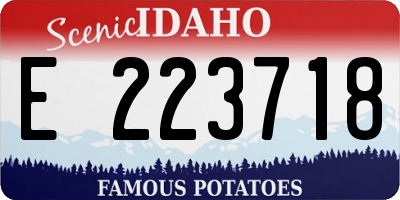ID license plate E223718