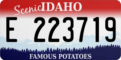 ID license plate E223719